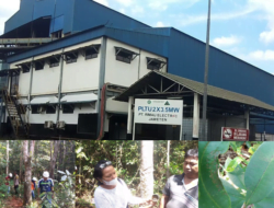 Debu Diduga dari PLTU Rimau Elektric Dikeluhkan Warga Debu Diduga dari PLTU Rimau Elektric Dikeluhkan Warga