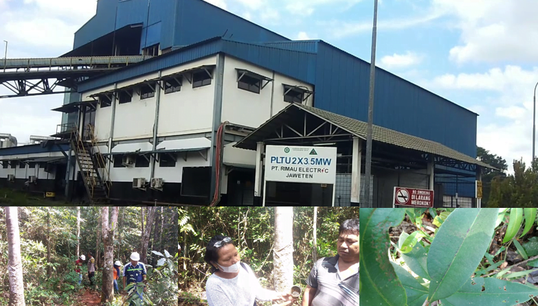 Debu Diduga dari PLTU Rimau Elektric Dikeluhkan Warga