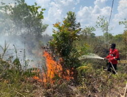Parah, 87 Kejadian Karhutla di Palangka Raya