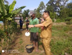 DKP Pulpis Tingkatkan Pengembangan Pembudidayaan Perikanan