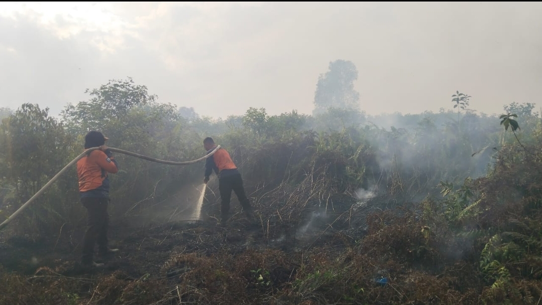 Lahan di Kotim Terbakar