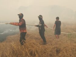 958,4 Ha Lahan di Kapuas Terbakar