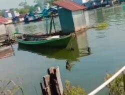 Heboh, Sungai Cempaga Mendadak Jernih Heboh, Sungai Cempaga Mendadak Jernih