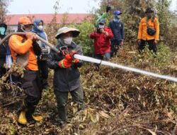 Pj Bupati Pulpis Turun Langsung Padamkan Karhutla