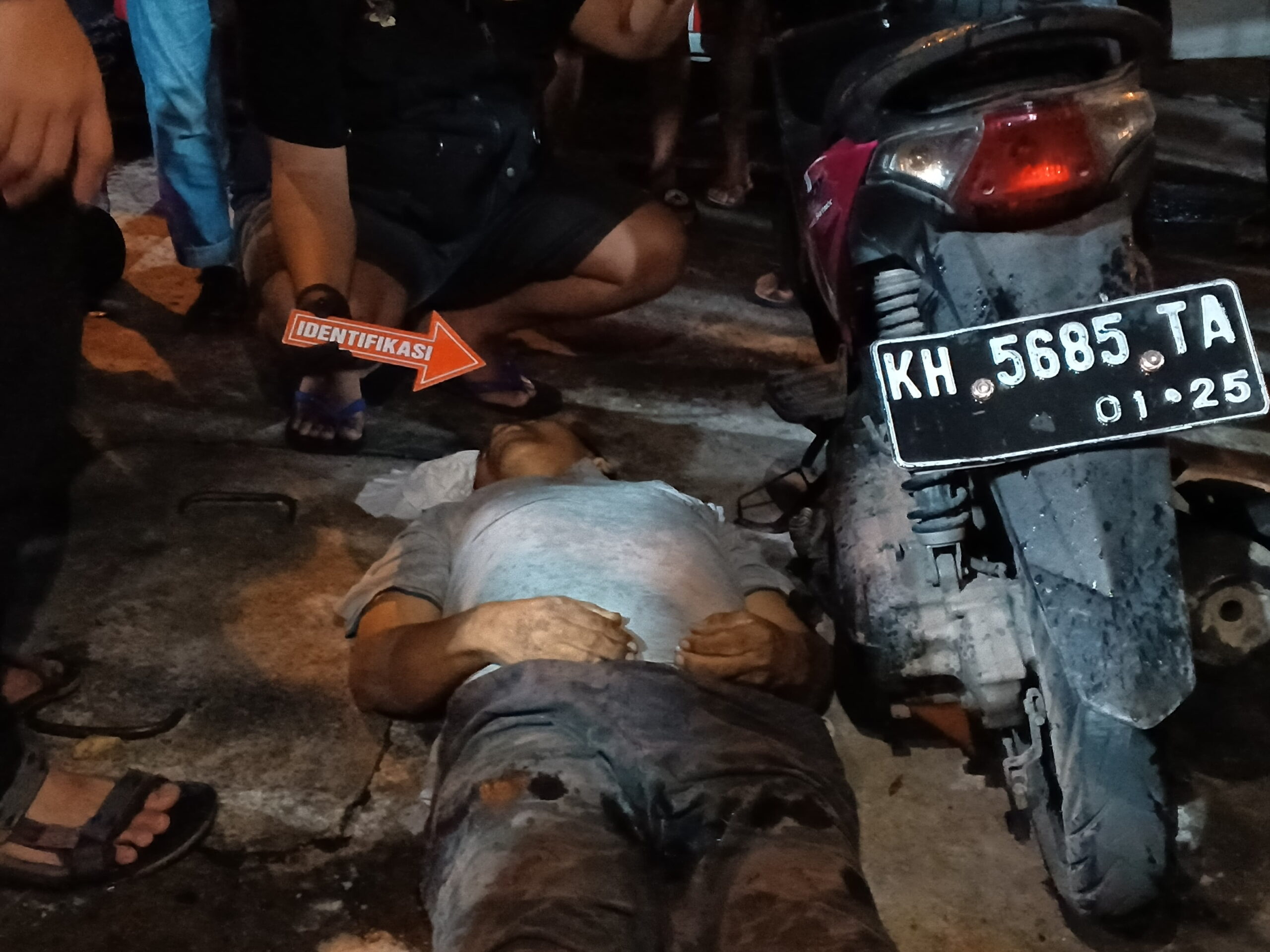 Diduga Sakit, Gajali Tewas di Samping Motor 