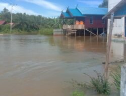 Dua Desa di Tualan Hulu Terendam Banjir Dua Desa di Tualan Hulu Terendam Banjir