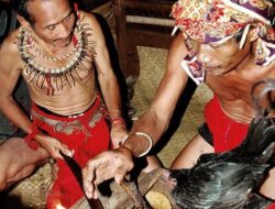 Santet Dayak yang Mengerikan Santet Dayak yang Mengerikan