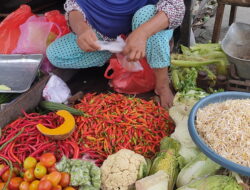 Harga Cabai Rp120 Ribu/Kg 