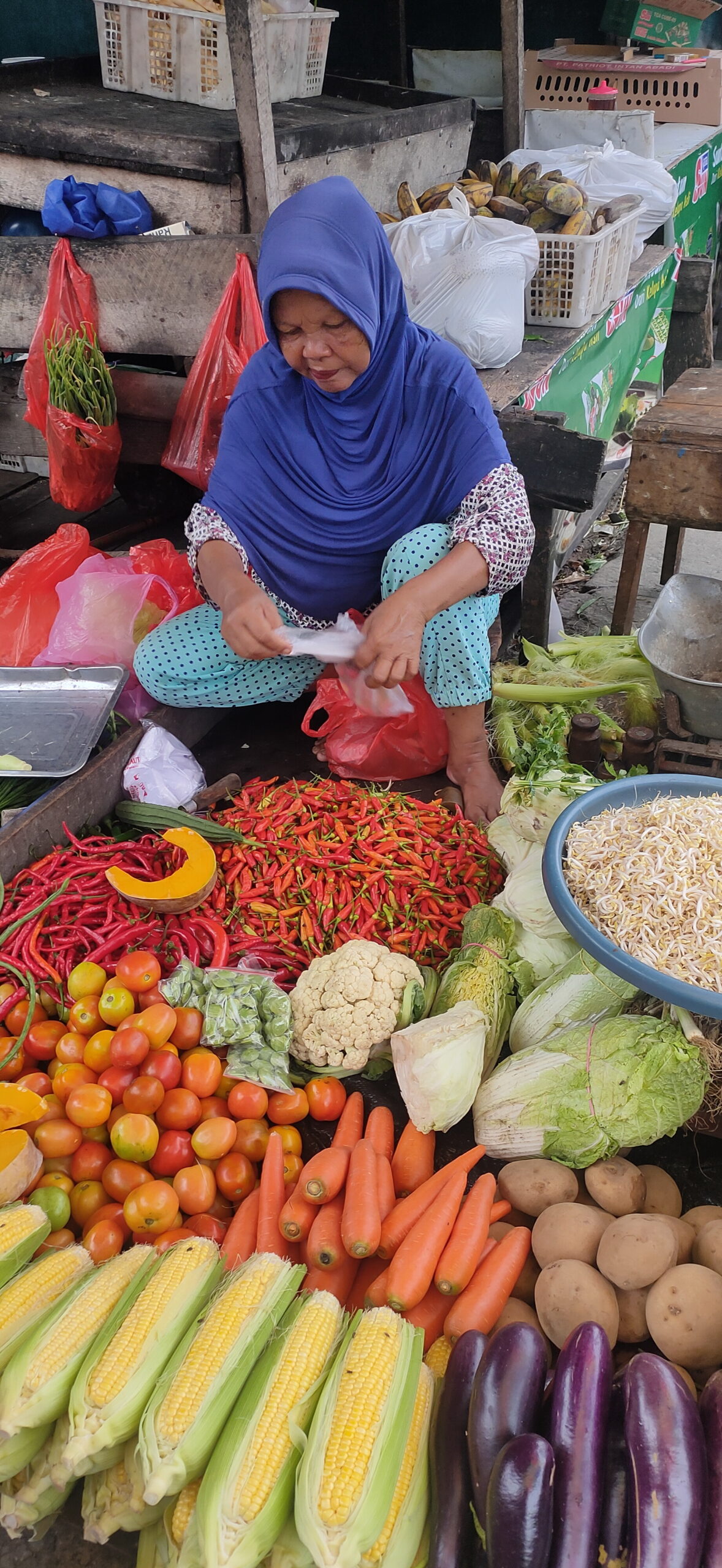 Harga Cabai Rp120 Ribu/Kg 