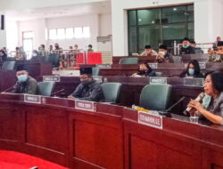 Dewan Dorong Seluruh Stakeholder Aktif Tangani Stunting  