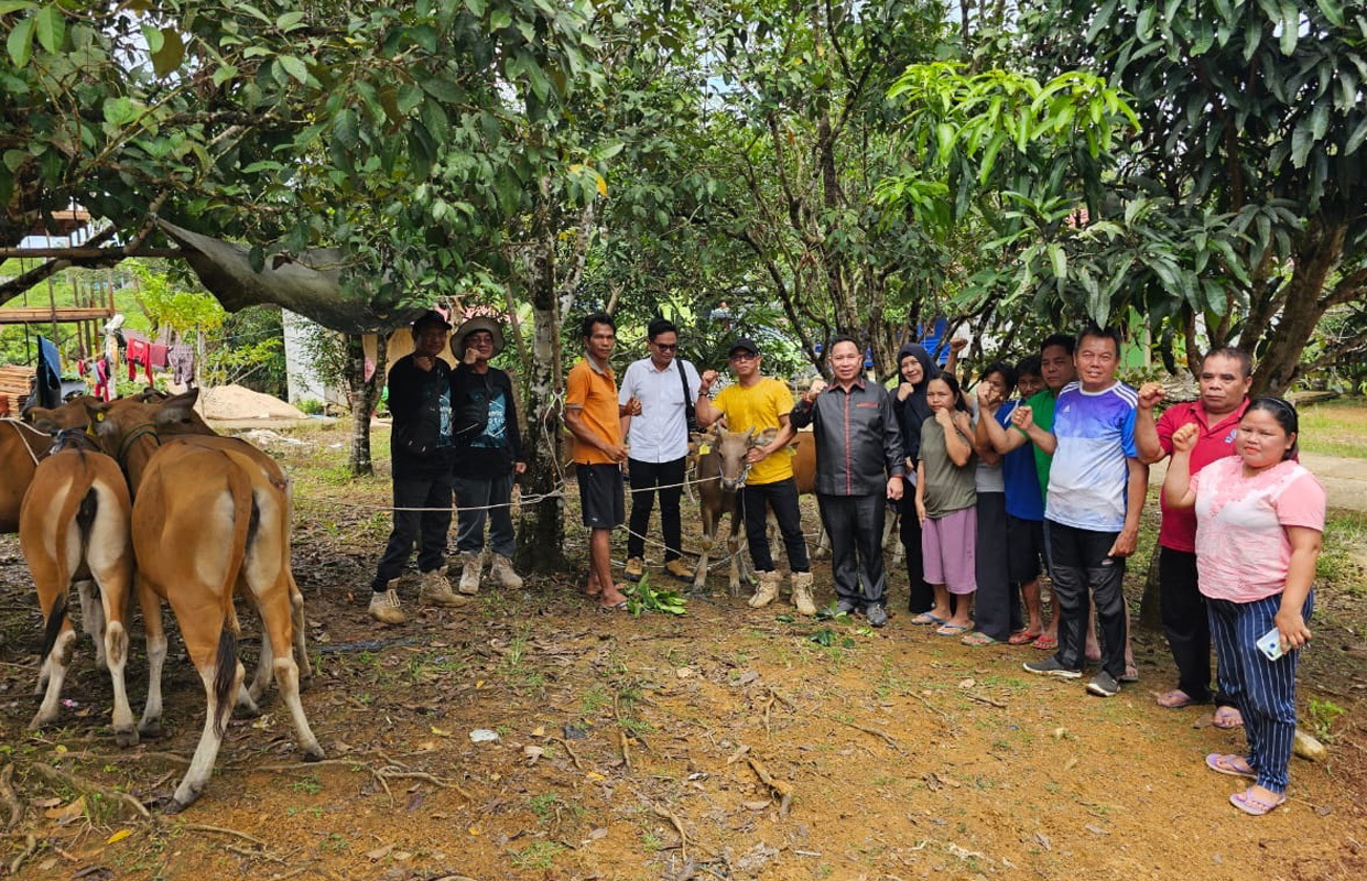 Ketua DPRD Bantu 2 Poktan Bibit Sapi