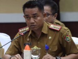 70,40 Hektare Lahan di Sukamara Terbakar