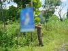 PLN Minta APK Tak Dipasang Dekat Jaringan Listrik  