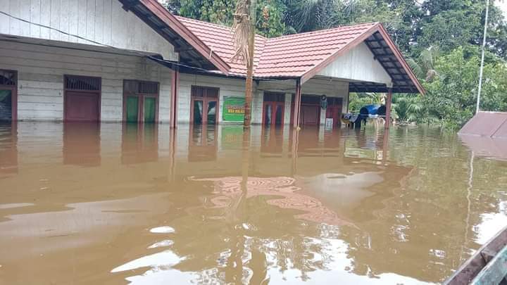 Puluhan Ribu Jiwa Terdampak Banjir di Kalteng