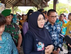 Isu Kenaikan Harga Beras, Pj Bupati Pastikan Pulpis Aman