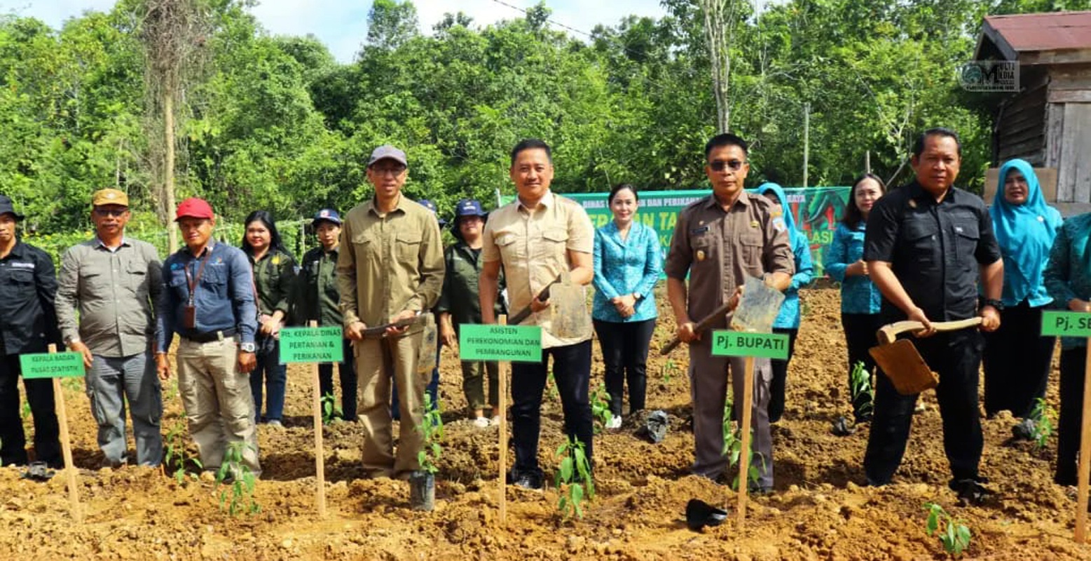 Tekan Inflasi Pemkab Gelar Kegiatan Gerakan Tanam Cabai