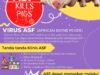 Waspada Virus ASF di Kalteng