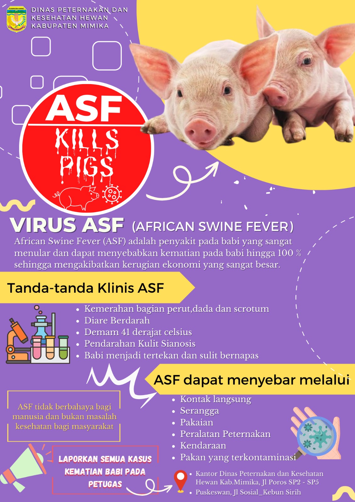 Waspada Virus ASF di Kalteng