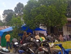 Pemilihan Ulang di Pulpis dan Kotim Aman