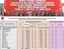 Peluang Jalur Perseorangan di Pilkada 2024
