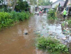 DAS Kahayan Naik, Desa Mantaren 1 Kebanjiran Lagi