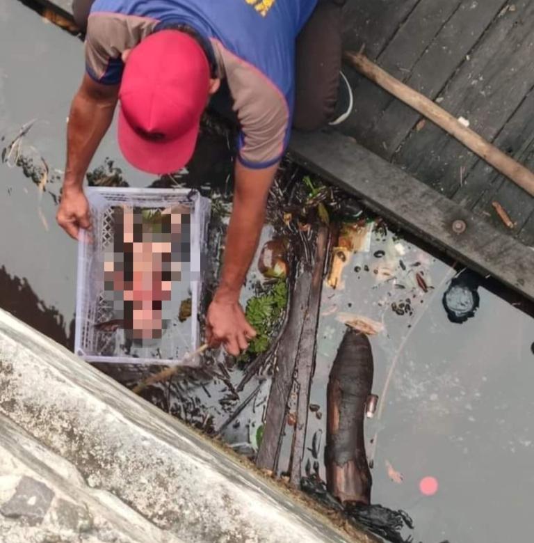 Heboh, Jasad Bayi Mengapung di Sungai Mentaya Sampit