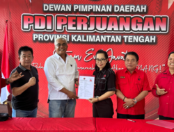 Ina Daftar ke PDI Perjuangan Maju di Pilkada Barsel