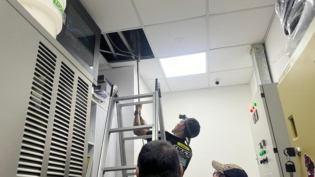 Tim ERP Evakuasi Kucing di Plafon Starbuck Coffee