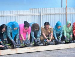 Pj Bupati dan Ketua Pj TP PKK Ikuti Gertam Cabai Serentak