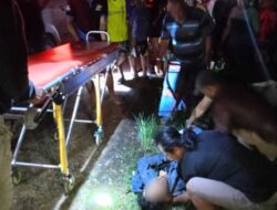 Pengendara Motor di Tewah Tewas Setelah Tabrak Mobil Pickup