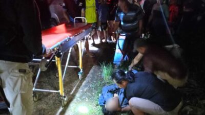 Pengendara Motor di Tewah Tewas Setelah Tabrak Mobil Pickup