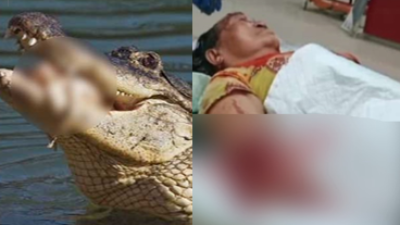 Mencuci Beras, Tangan Nenek Disambar Buaya Lapar