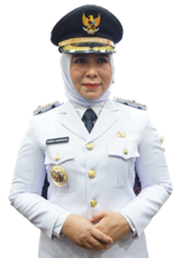 Nunu Andriani Belum Nyatakan Maju Pilkada