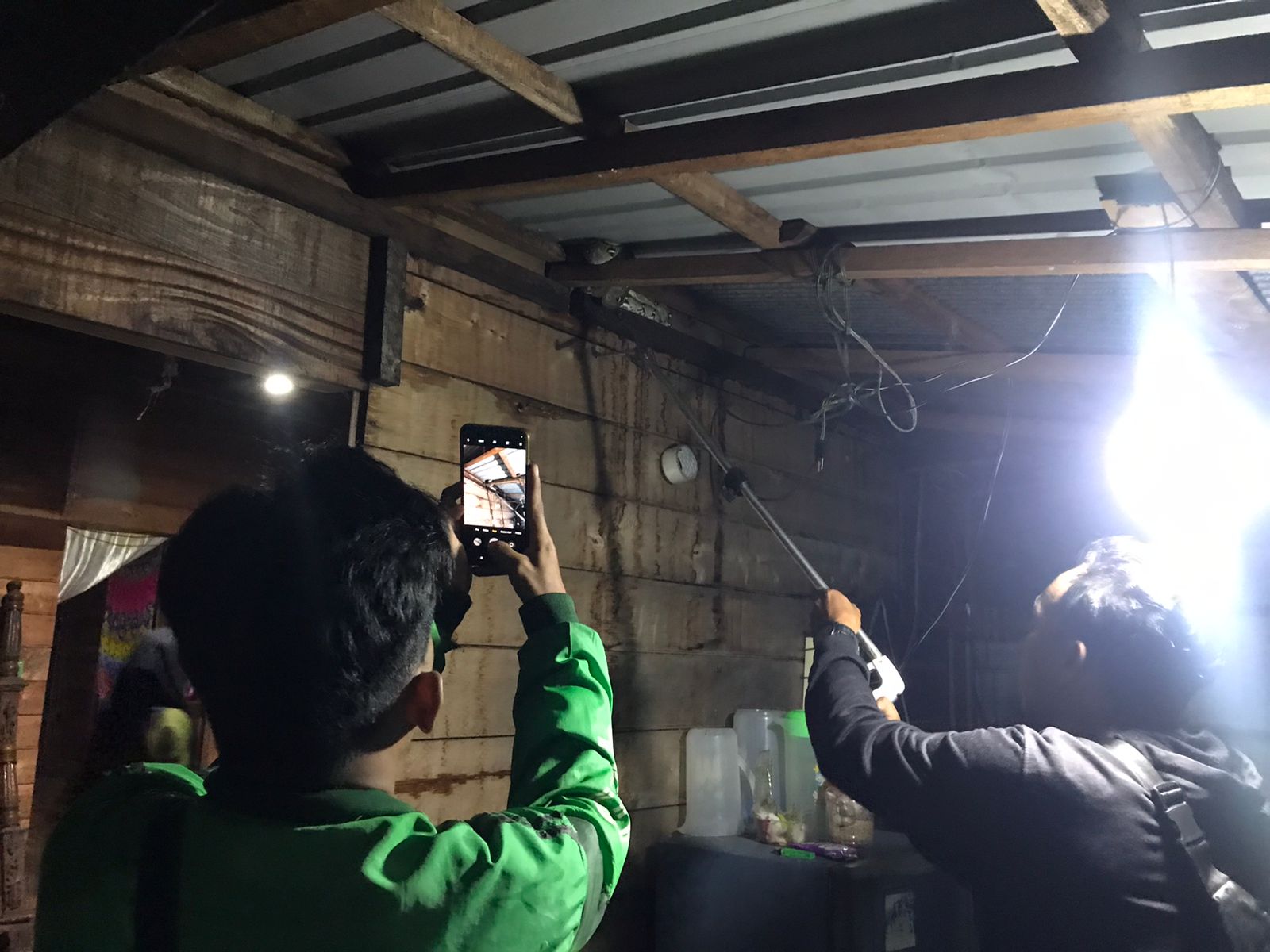 Mau Mencuci Malah Ketemu Ular Phyton di Dapur