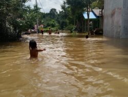 Banjir Meluas, Wamen LHK Sebut Floodplain Banjir Meluas, Wamen LHK Sebut Floodplain