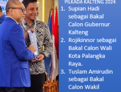 Kader PDIP Direkom PAN