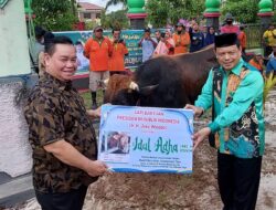 Kotim Kebagian 1 Ton Sapi Kurban dari Presiden RI