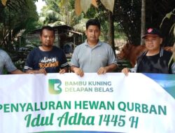 Idul Adha 1445 Hijriah, Bambu Kuning Grop Salurkan Hewan Kurban Idul Adha 1445 Hijriah, Bambu Kuning Grop Salurkan Hewan Kurban