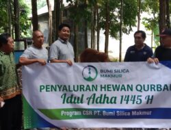 Idul Adha 1445 Hijriah, Bambu Kuning Grop Salurkan Hewan Kurban 
