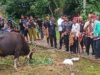 Warga Hurung Tabengan Ritual Mampakanan Sahur Lewu