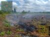 Tingkat Kekeringan Tinggi, BPBD Siaga Karhutla