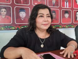 Pemko Diminta Tingkatkan Pengawasan Pohon Rawan Tumbang
