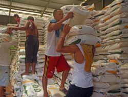 Beras Premium Naik Lampaui HET