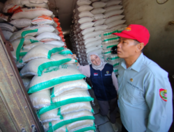 Harga Komoditas di Kalteng Stabil