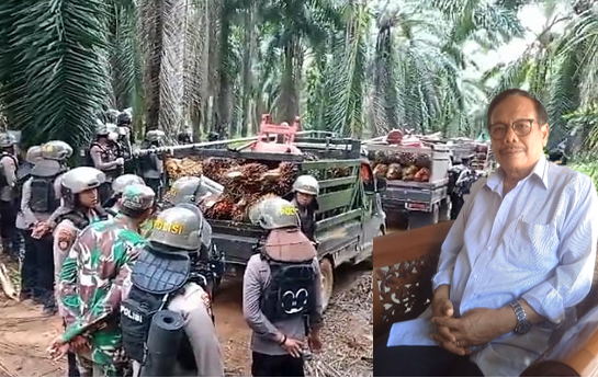 Dr Ir Rawing Rambang: Tindak Tegas Penjarah Buah Sawit