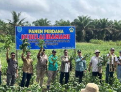 Pj Bupati Said Salim Ikut Panen Perdana Kedelai Edamame