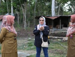 Kadis TPHP Kalteng Kunker ke Kelompok Tani Pahari Sejahtera Kotim