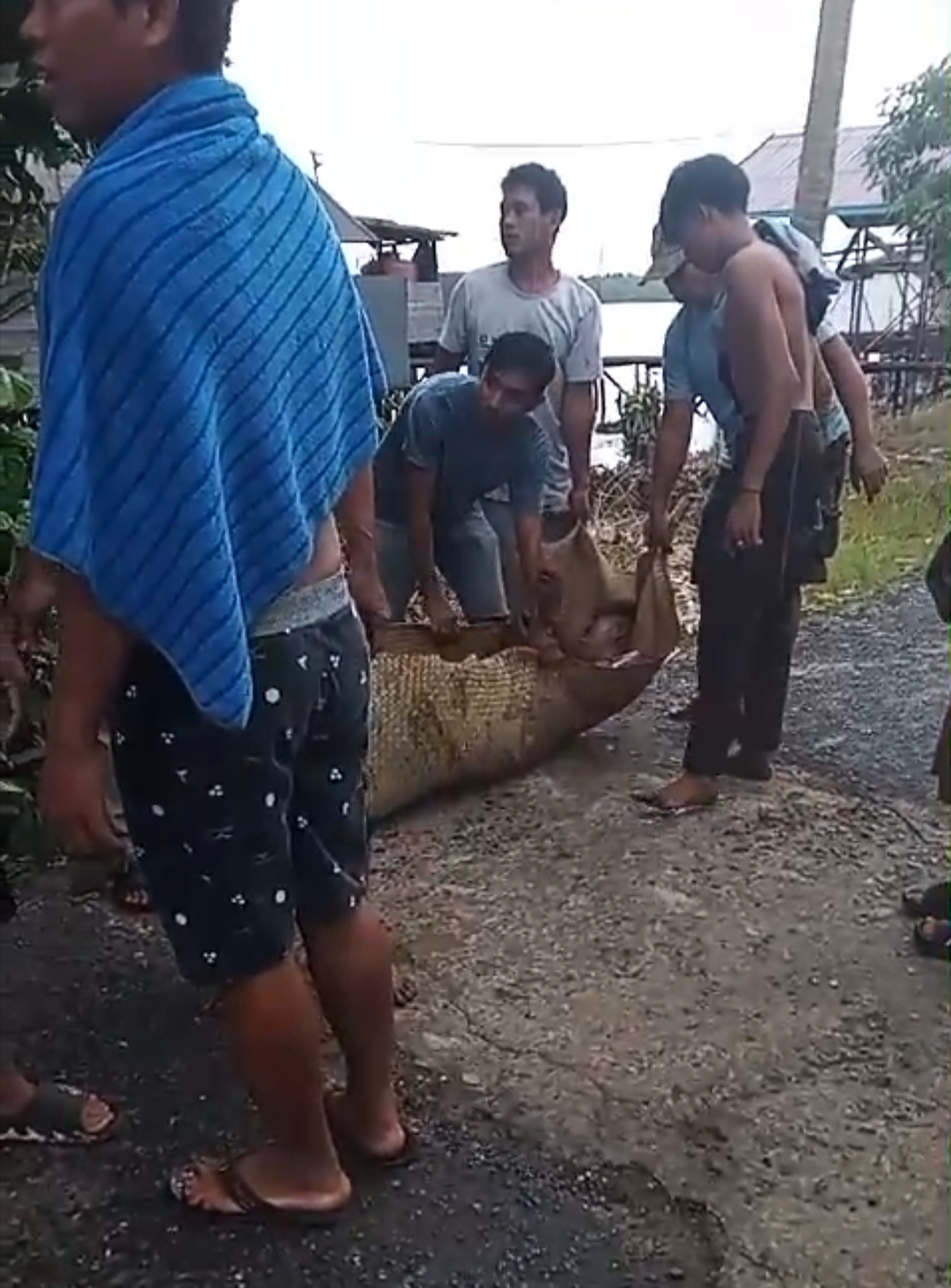 Duel Berdarah di Mandomai, Usus Aini Terburai