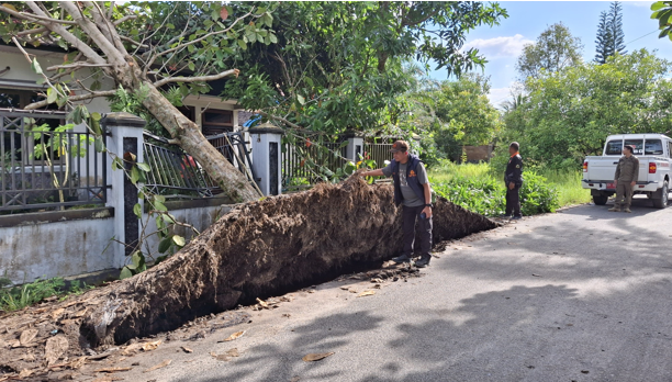 Angin Kencang, Kecepatan 35-57 Km/Jam