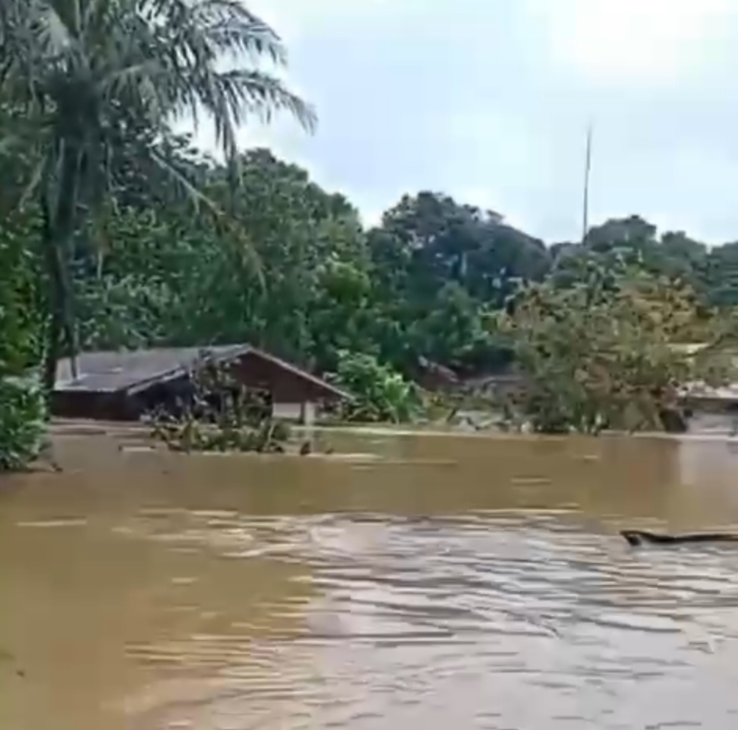 Kapuas Kembali Diterjang Banjir